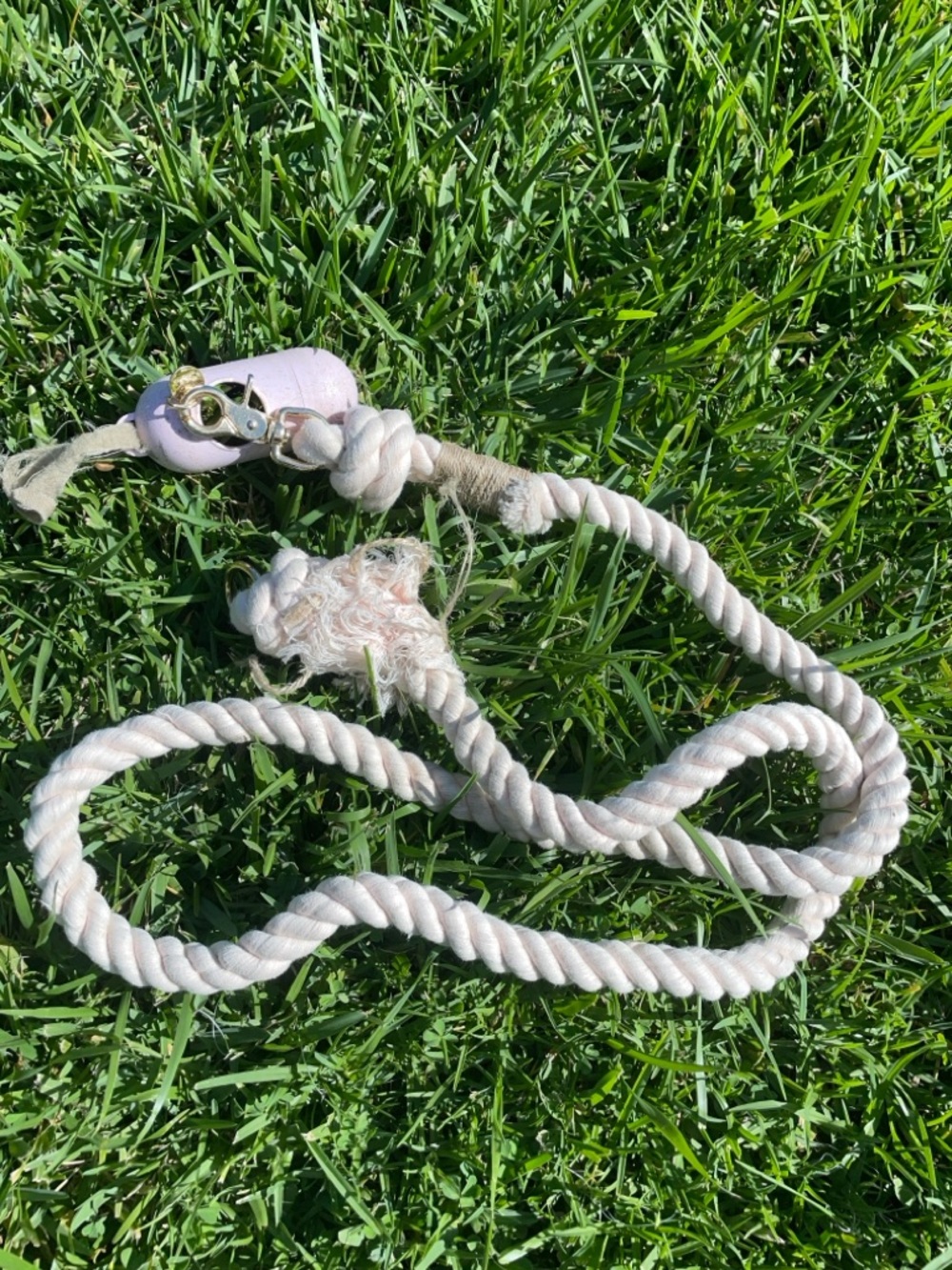 Dog Leash Set Girl Puppysentials